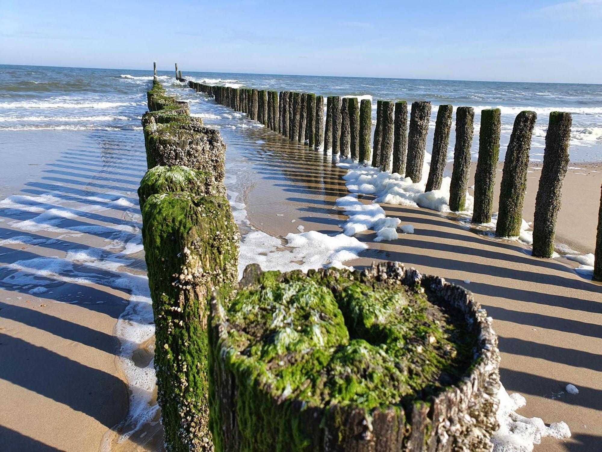 Studio Aan Zee Oostkapelle Camera foto